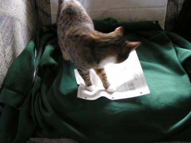 Kate answers letters.