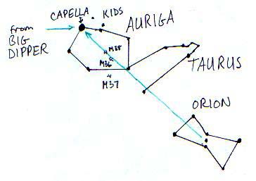 Auriga Auriga