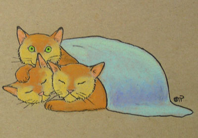 Little Buddy three-headed kitten