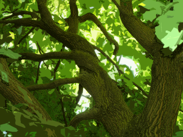 Shadows and light in oak tree