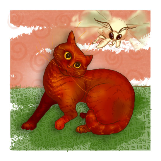 Moth and cat