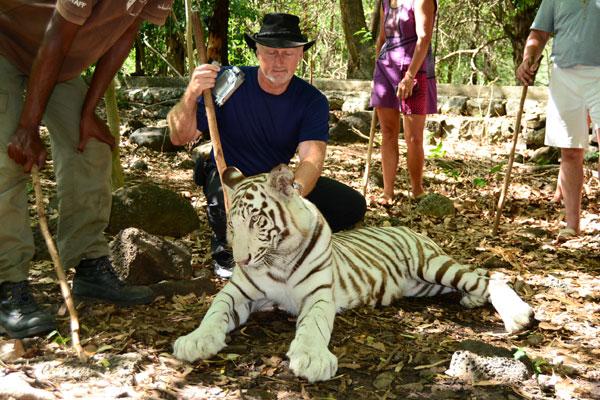 Barry Kirwan and white tiger
