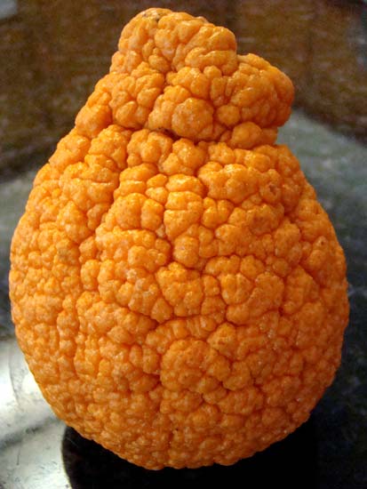 Sumo fruit