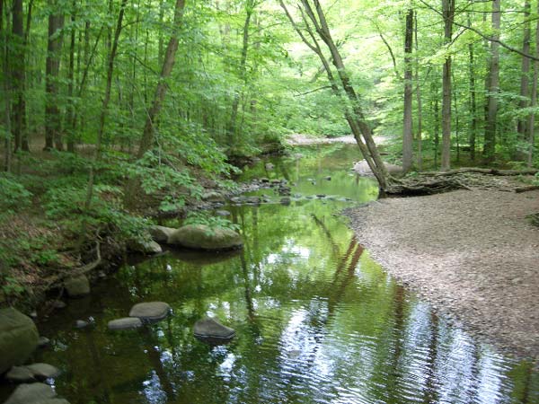 Ramapo River