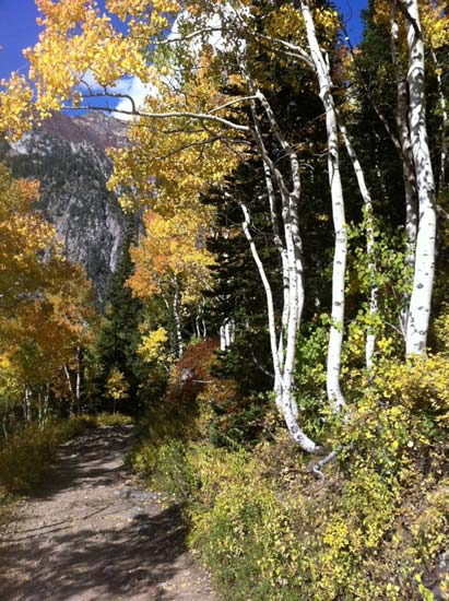 lone peak wilderness area