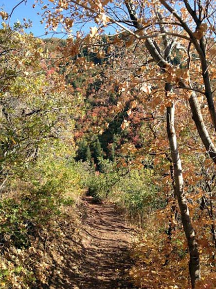 Millcreek Canyon, Utah