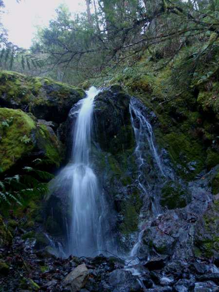 Waterfall in forest