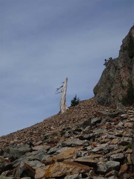 talus slope Headlee Pass