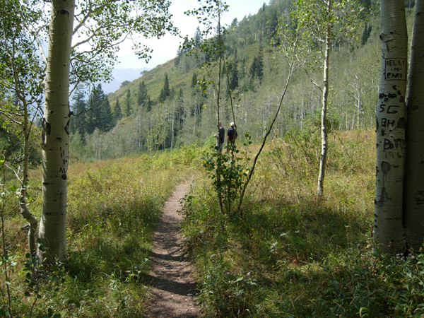 Wasatch Mountains, Utah