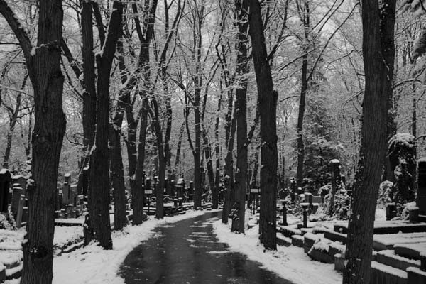 Snow and gravestones along a winter road in a Prague cemetery.