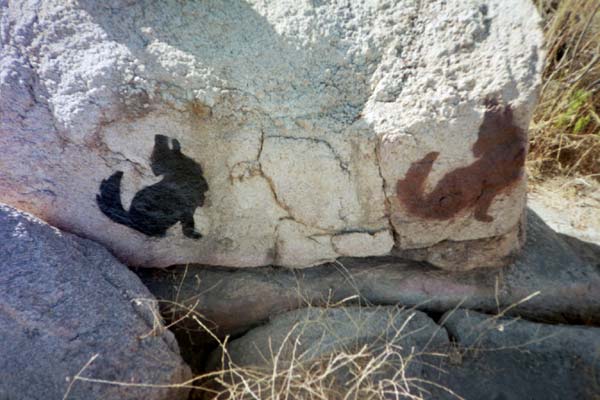 Two images of coyotes, graffiti on a rock