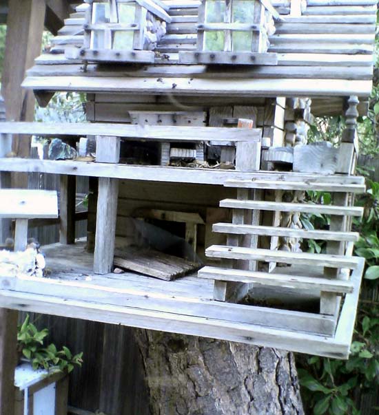 bird house infested with bees