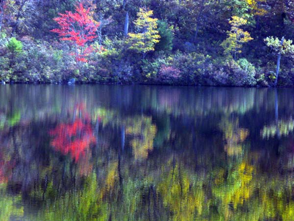 brilliant fall color reflection