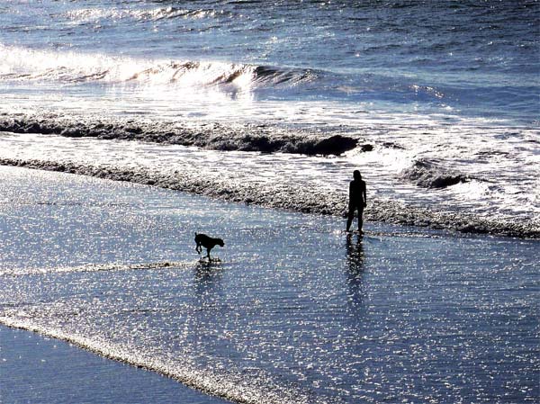 Beach at Avalon, NJ