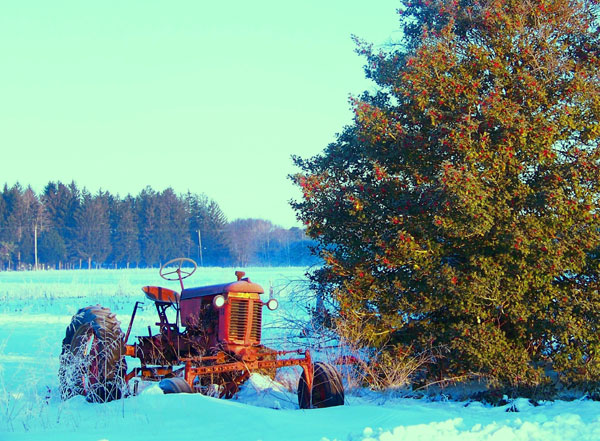 Tractor in the snow