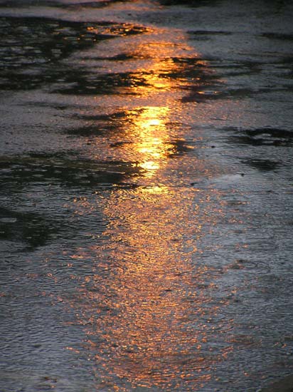 Raindrops on the asphalt.