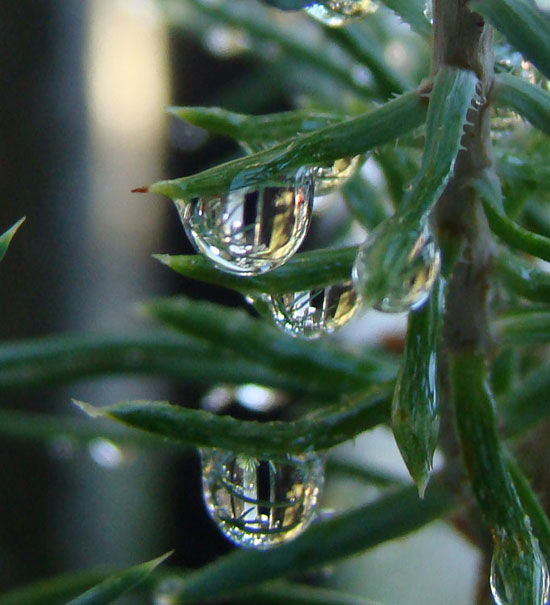 close up of water droplets