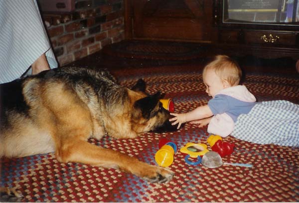 German Shepherd Dog and baby