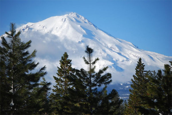 Mt. Shasta