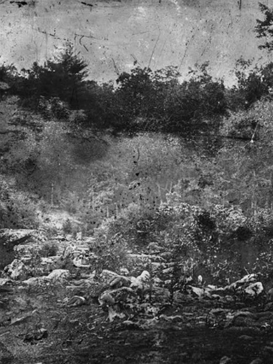 Cover image.