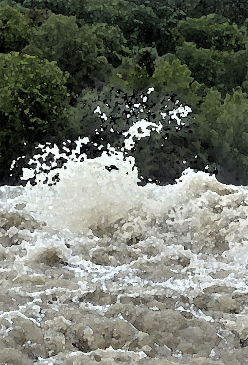 Cover image.