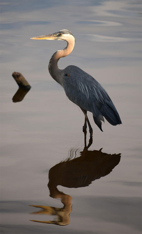 On the Water, by Public Domain Cover image.