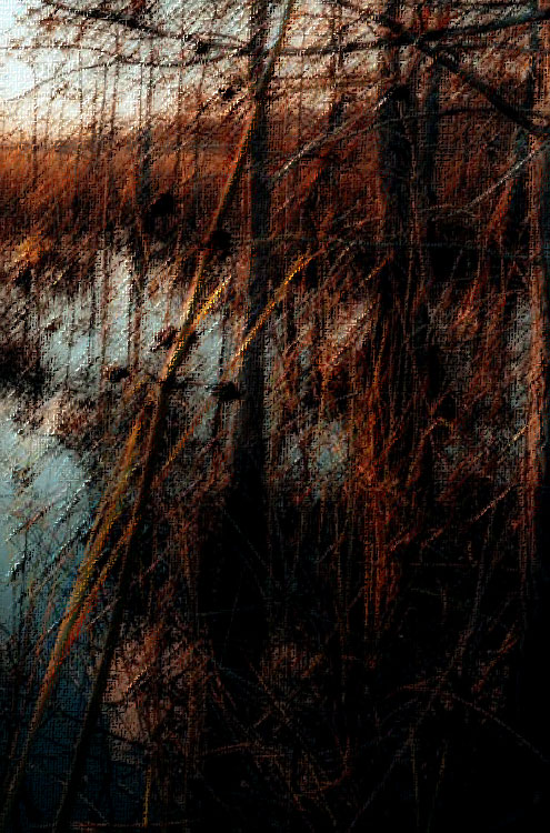Cover image.