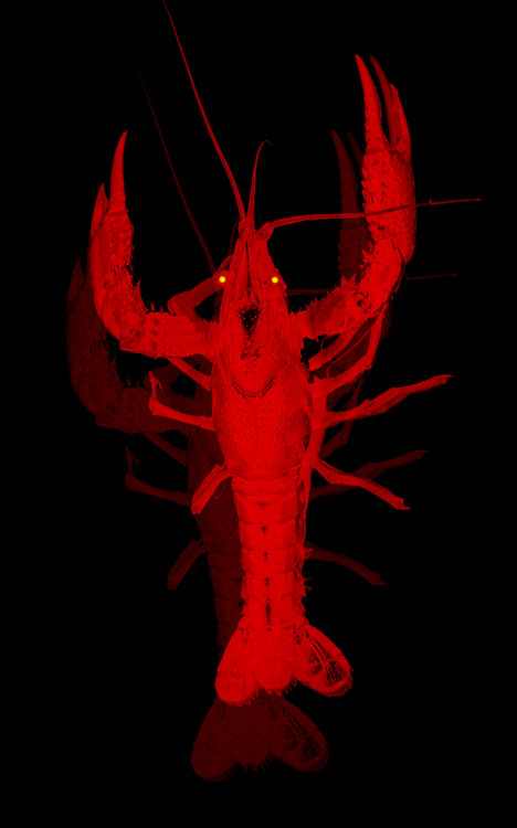 Cover image.