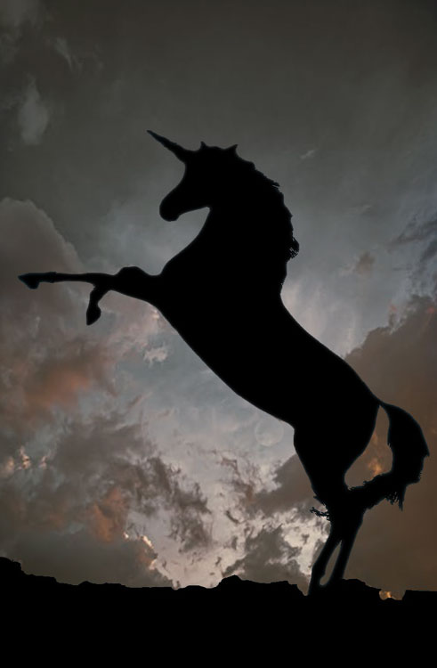 Cover image.