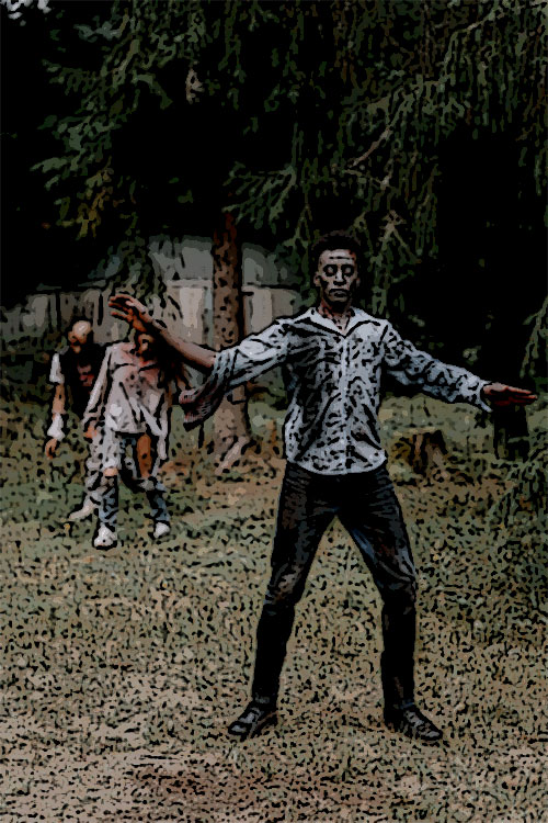 Cover image.